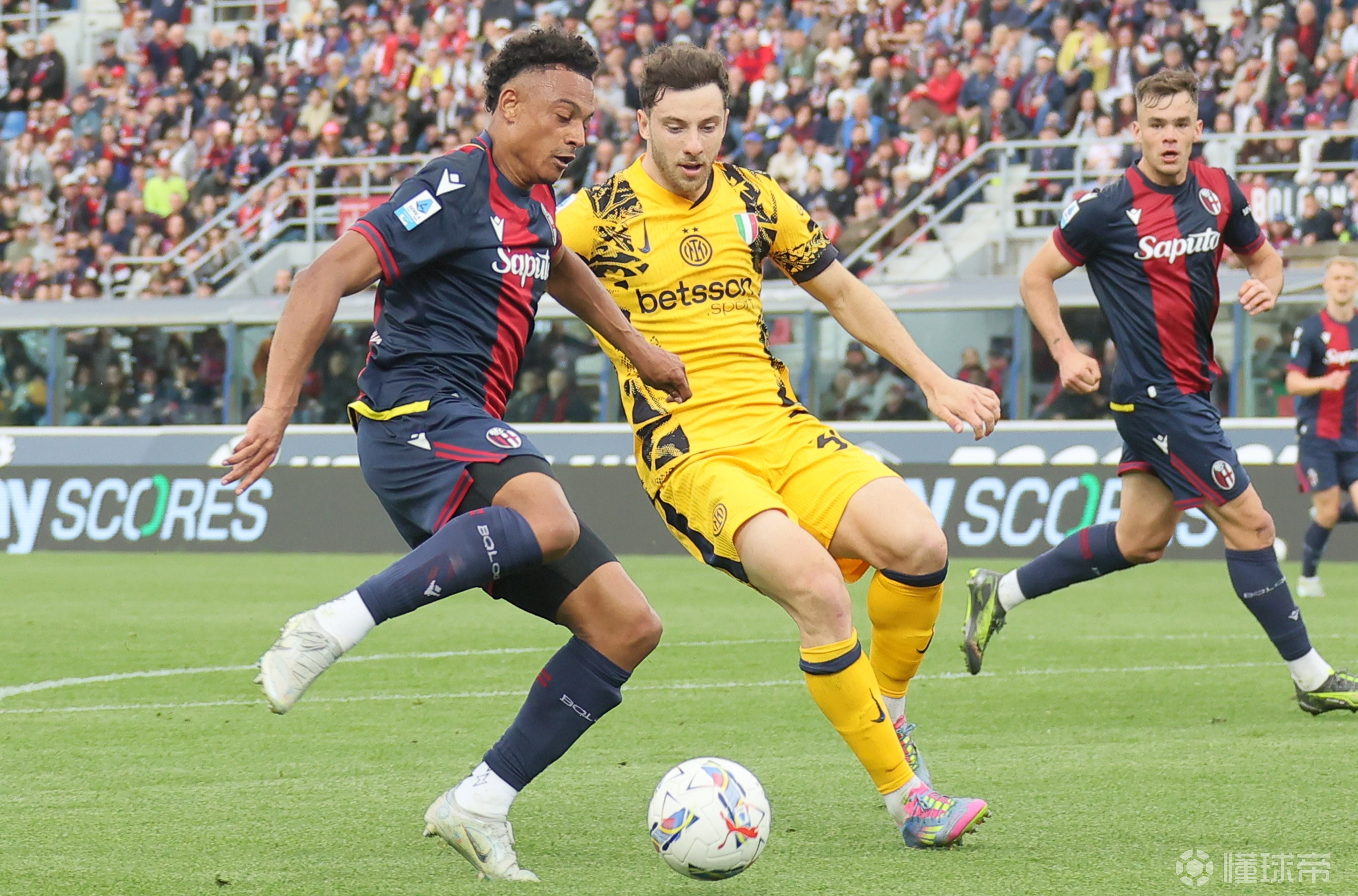 包含博洛尼亚凭借团队合作,轻松取胜的词条 包含博洛尼亚凭借团队合作,轻松取胜的词条